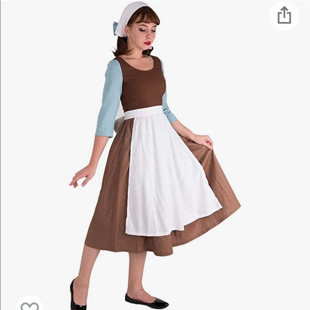 Cinderella Maiden Cosplay Costume